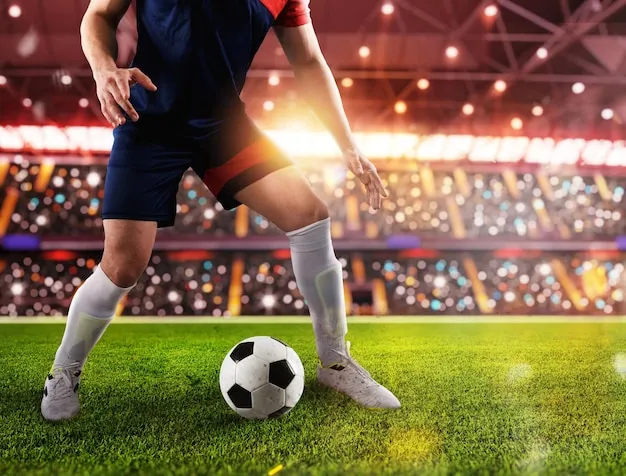 纬来体育应用界面展示